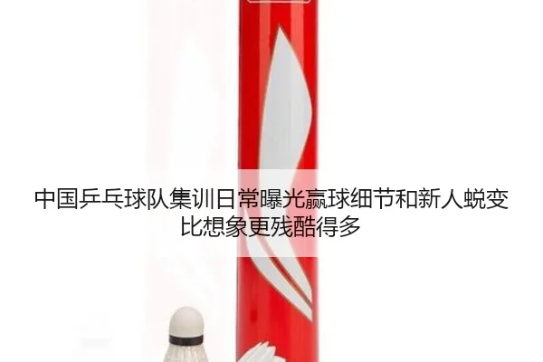 中国乒乓球队集训日常曝光赢球细节和新人蜕变比想象更残酷得多